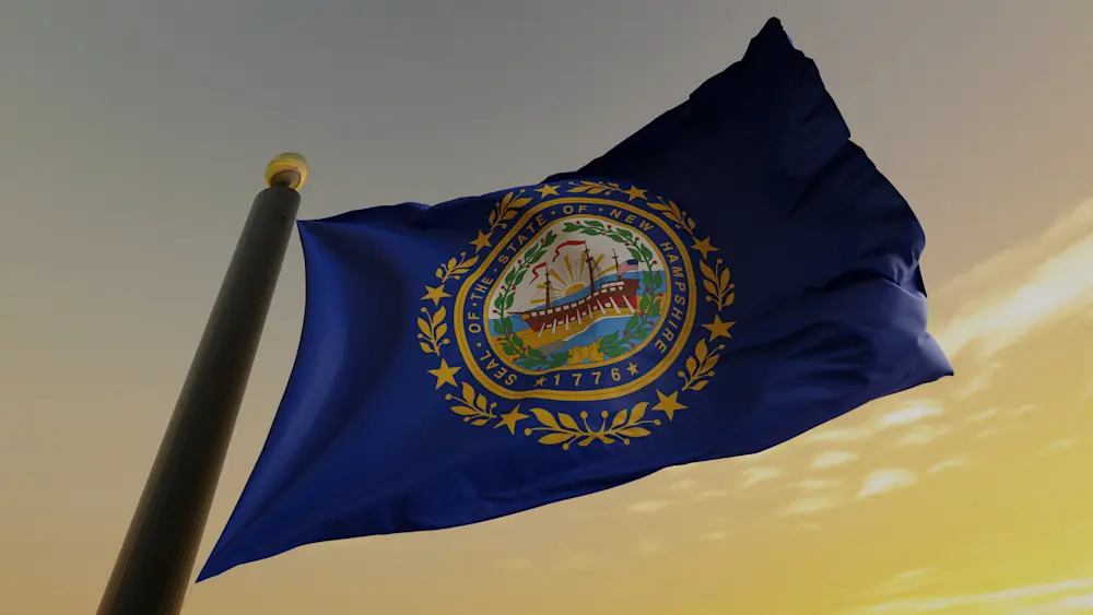 New Hampshire State Flag