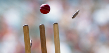 Cricket generic