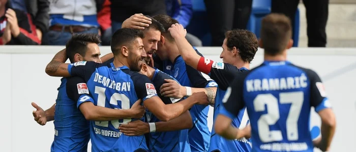 r football bundesliga hoffenheim players celebrating