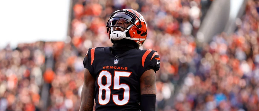 Tee Higgins Bengals