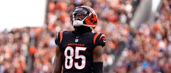 Tee Higgins Bengals