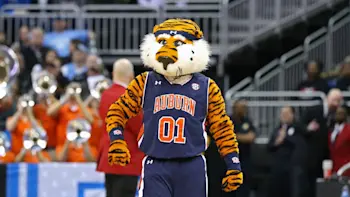 Auburn bball mascot 3