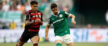palmeiras flamengo
