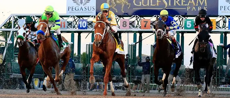 r-horse-racing-gulfstream-park-2.jpg