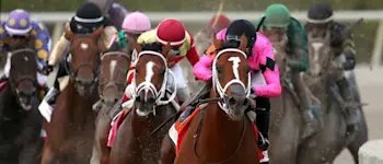 Horse Racing Gulfstream