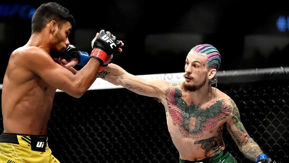 Sean O'Malley UFC Punch