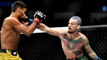 Sean O'Malley UFC Punch