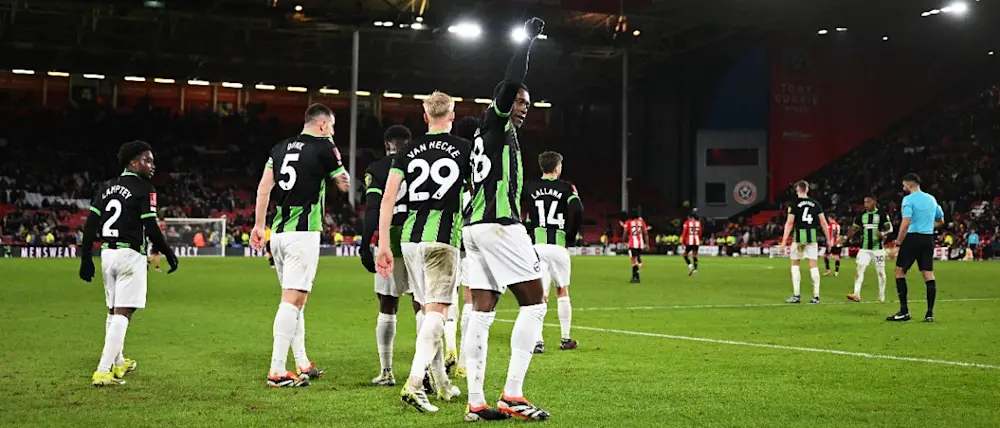 football 2024 premier league brighton away goal