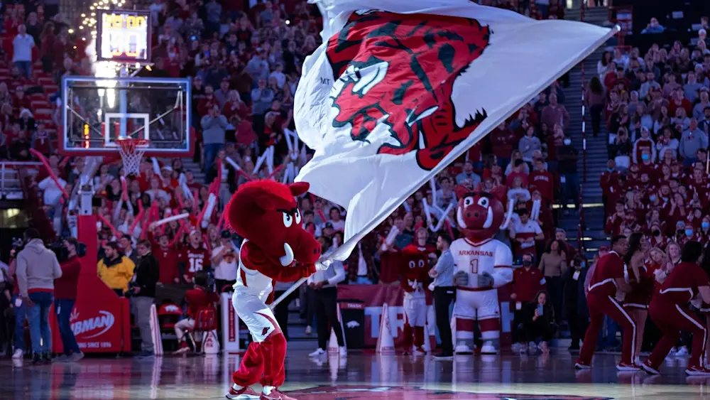 Arkansas Razorbacks Basketball Mascot 2