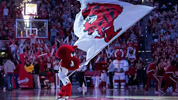 Arkansas Razorbacks Basketball Mascot 2
