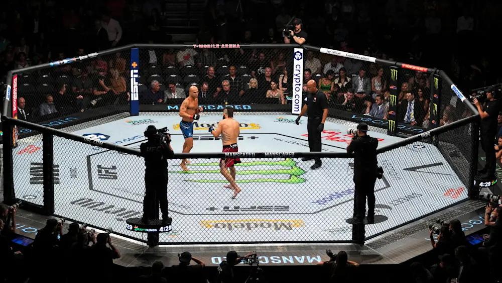 UFC Octagon
