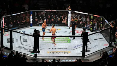 UFC Octagon
