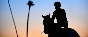 r-racing-breeders-cup-2-311019.jpg