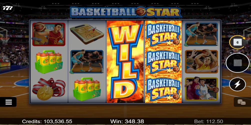 Basketball Star Wild Shot Feature