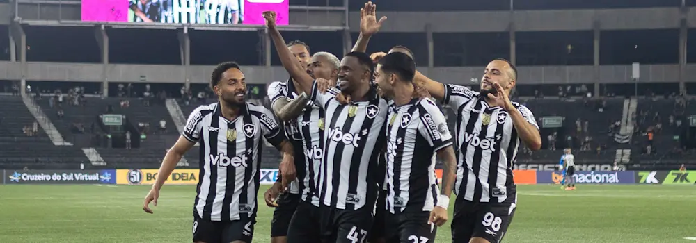 Botafogo Team 2025
