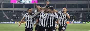 Botafogo Team 2025