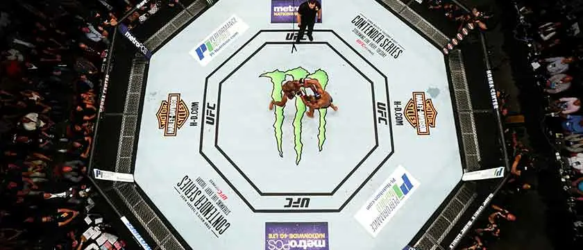 r boxing ufc octagon