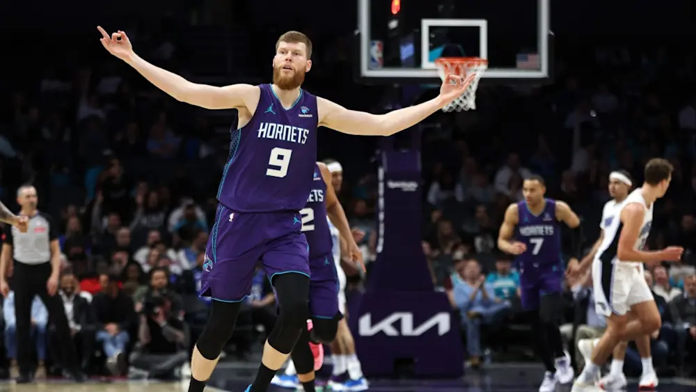David Bertans Hornets