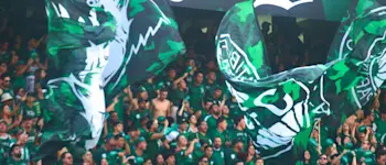 coritiba fans
