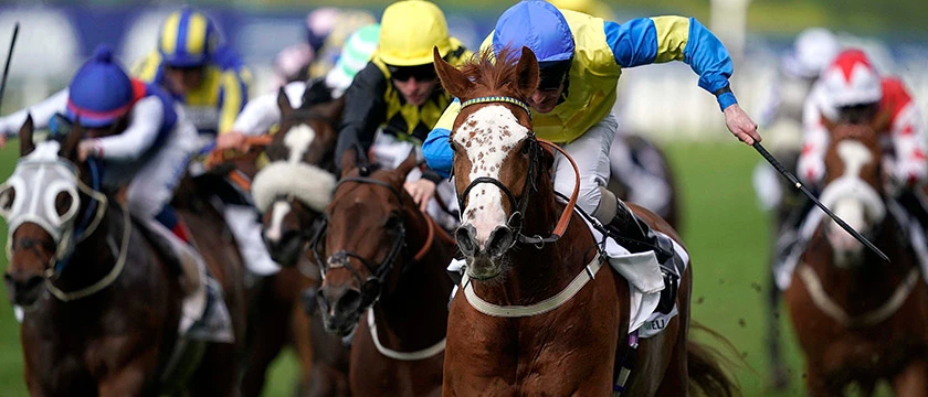 r-racing-course-royal-ascot-4.jpg