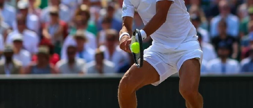r betfair djokovic 11 7 22