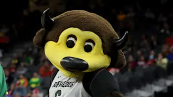Colorado bball mascot