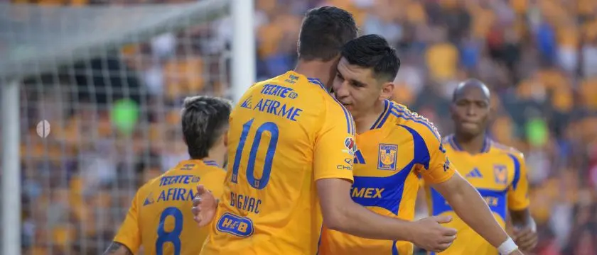 tigres