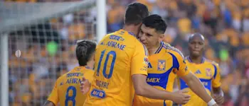 tigres