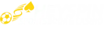 HEYSPIN  Logo