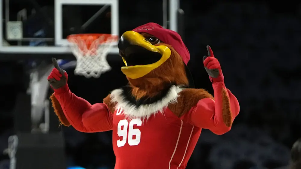 Utah Utes bball mascot