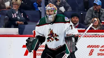 Arizona Coyotes Karel Vejmelka