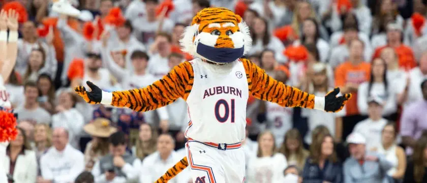 Auburn NCAAB mascot