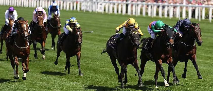 r-racing-course-royal-ascot-3.jpg