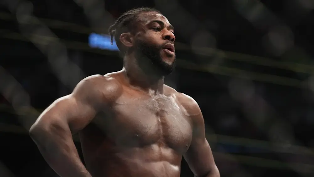 UFC Aljamain Sterling