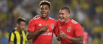 r football primeiraliga benfica new
