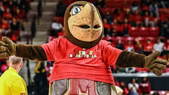 Maryland Terps Basketball Mascot