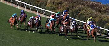 r-racing-breeders-6-011119.jpg