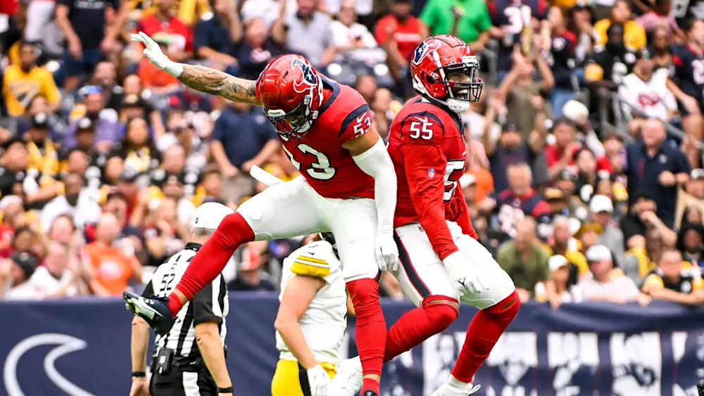 Blake Cashman Texans Defense