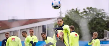 r football sweden ibrahimovic