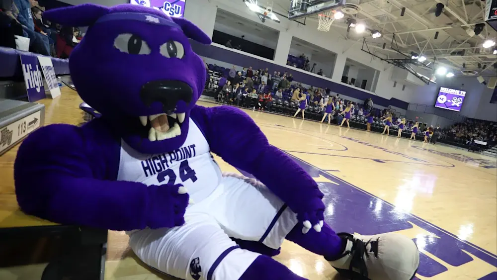 High Point Panthers Mascot